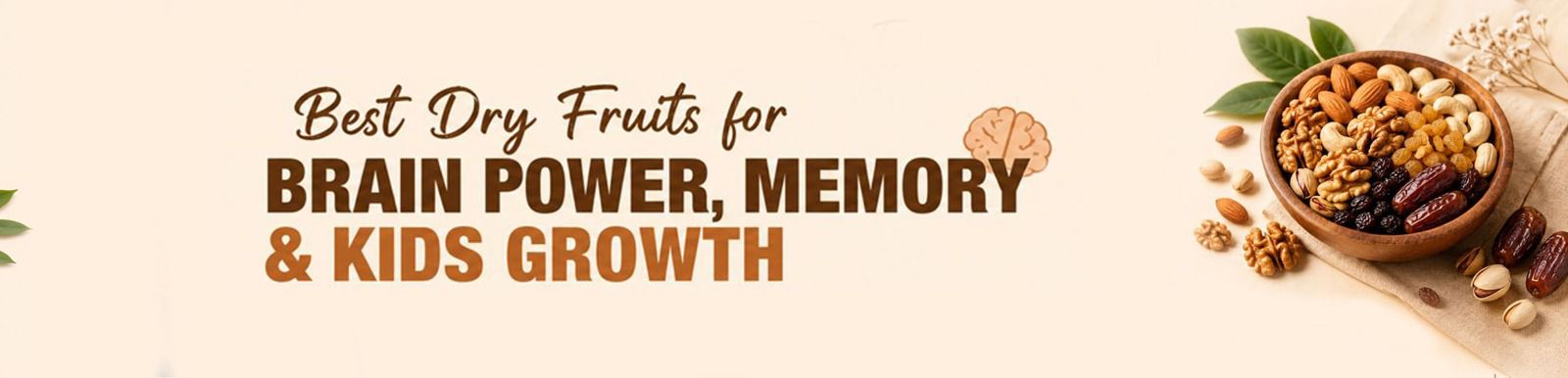 Best Dry Fruits for Brain Power, Memory & Kids Growth