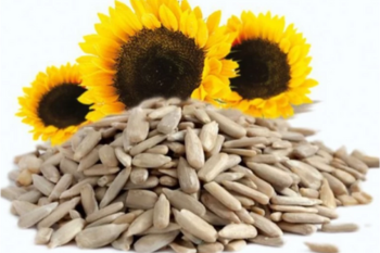 Sunflower Seeds